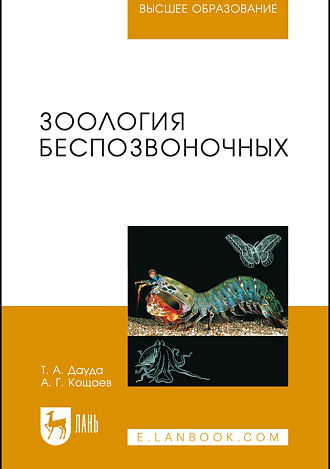 Зоология беспозвоночных, Дауда Т.А., Кощаев А.Г., Издательство Лань.
