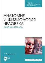 Анатомия и физиология человека. Рабочая тетрадь, Брусникина О. А., Издательство Лань.