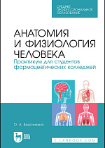 Анатомия и физиология человека. Практикум для студентов фармацевтических колледжей, Брусникина О. А., Издательство Лань.