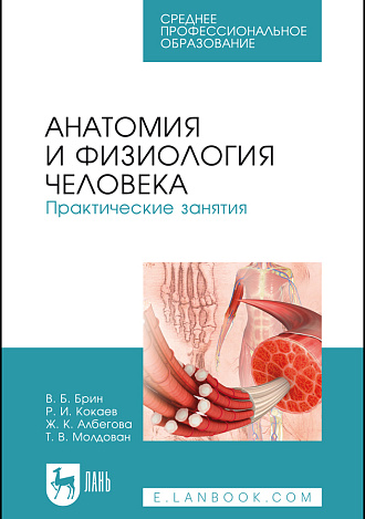 Анатомия и физиология человека. Практические занятия, Брин В. Б., Кокаев Р.И., Албегова Ж.К., Молдован Т.В., Издательство Лань.