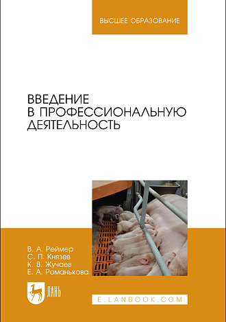 Введение в профессиональную деятельность, Реймер В. А., Князев С. П., Жучаев К. В., Романькова Е. А., Издательство Лань.