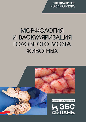 Морфология и васкуляризация головного мозга животных, Прусаков А.В., Щипакин М.В., Зеленевский Н.В., Былинская Д.С., Бартенева Ю.Ю., Васильев Д.В., Издательство Лань.