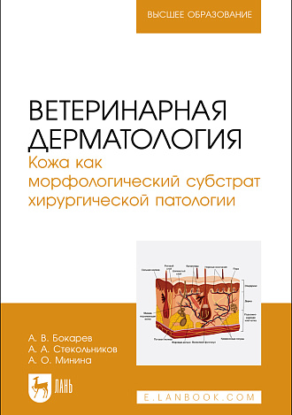 Ветеринарная дерматология. Кожа как морфологический субстрат хирургической патологии, Бокарев А. В., Стекольников А. А., Минина А. О., Издательство Лань.