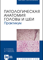 Патологическая анатомия головы и шеи. Практикум, Комаров А. А., Комарова Е. В., Федорова М. Г., Издательство Лань.