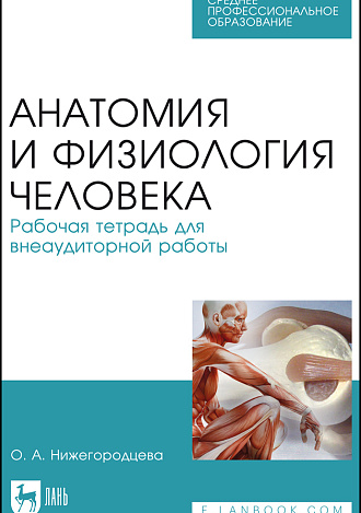 Анатомия и физиология человека. Рабочая тетрадь для внеаудиторной работы, Нижегородцева О.А., Издательство Лань.