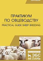 Практикум по овцеводству. Practical guide Sheep breeding, Юлдашбаев Ю. А., Трухачев В. И., Траисов Б. Б., Есенгалиев К. Г., Смагулов Д. Б., Бейшова И. С., Чылбак-оол С. О., Ахметова А. К., Абдулмуслимов А. М., Издательство Лань.