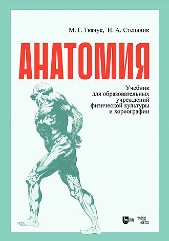 Анатомия