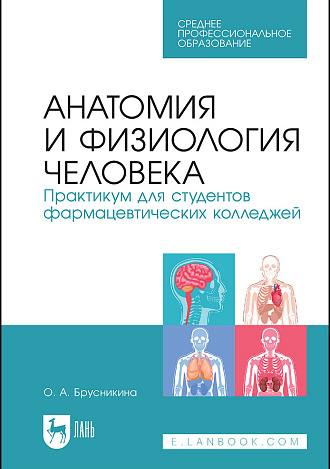 Анатомия и физиология человека. Практикум для студентов фармацевтических колледжей, Брусникина О. А., Издательство Лань.