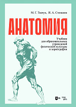 Анатомия
