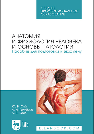 Анатомия и физиология человека и основы патологии. Пособие для подготовки к экзамену, Сай Ю.В., Голубева Л.Н., Баев А.В., Издательство Лань.